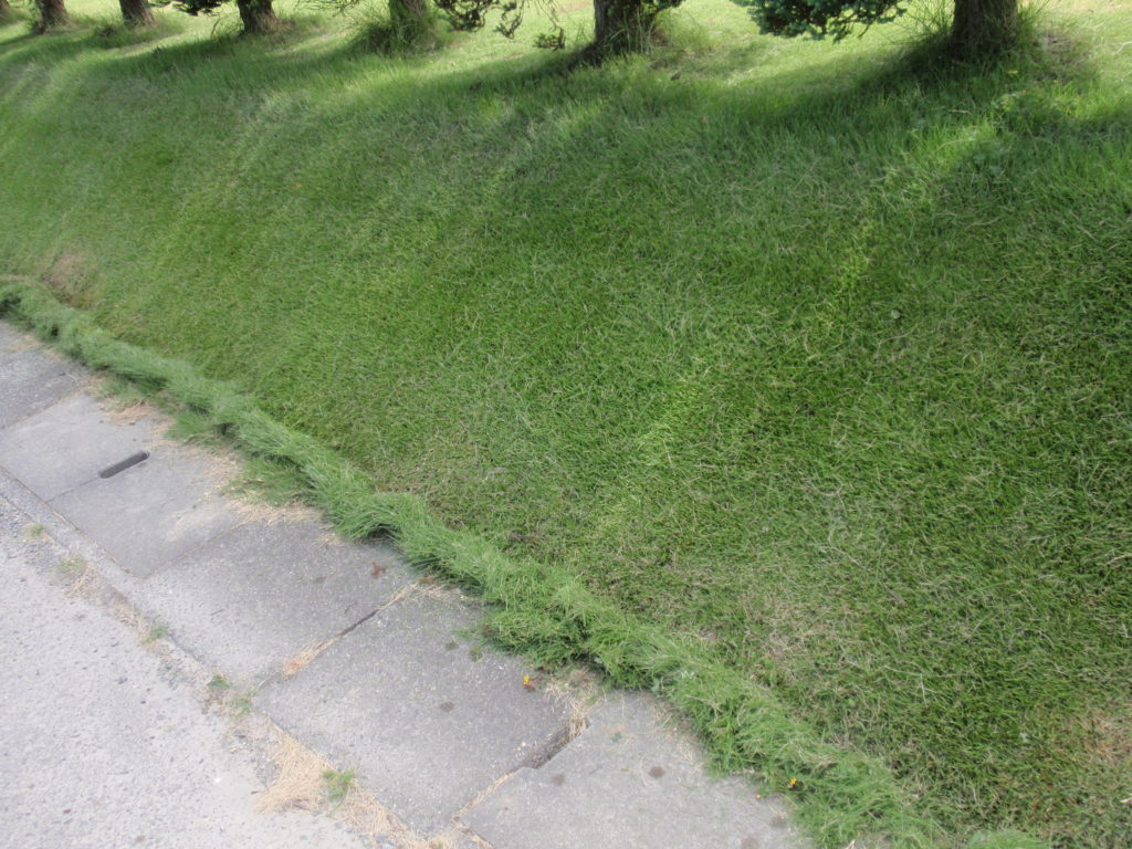 芝生の斜面の刈り方