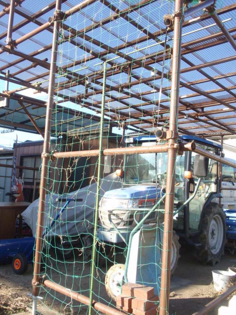 単管パイプガレージ　壁面に網を張り植物を育てる