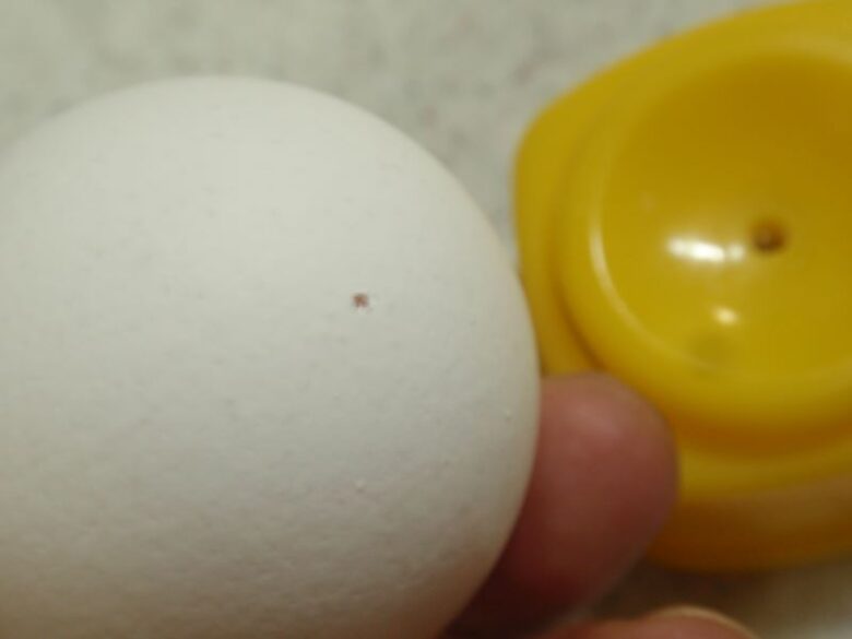 ゆで卵の穴開け専用道具を使うと外殻のみに綺麗な穴が開けられます。