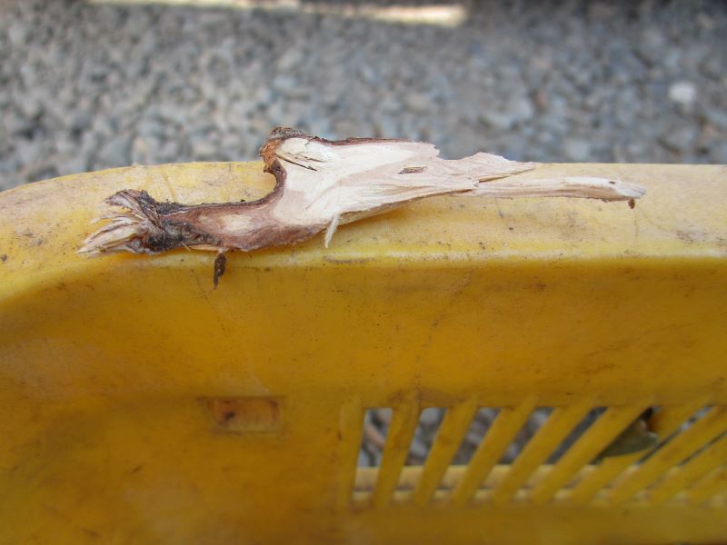 ガーデンシュレッダー　京セラ（旧リョービ）GS-2010で切断された枝