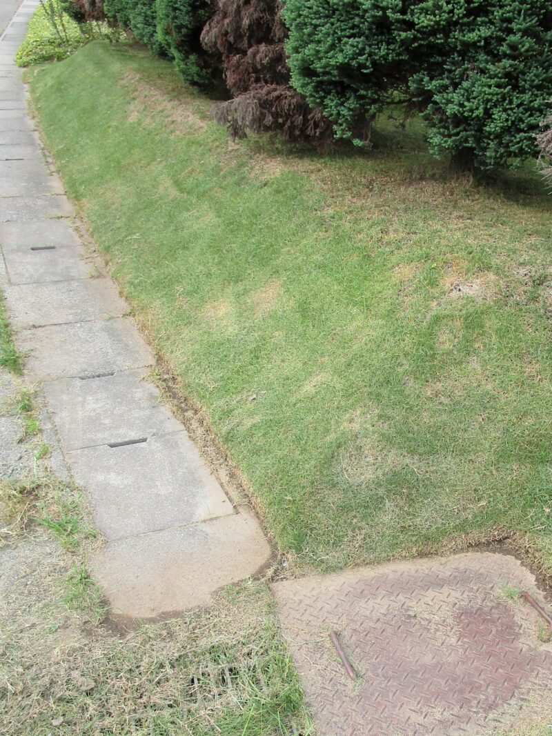 手入れ後の芝生の法面（斜面）端を切りそろえて真っ直ぐな線にした状態