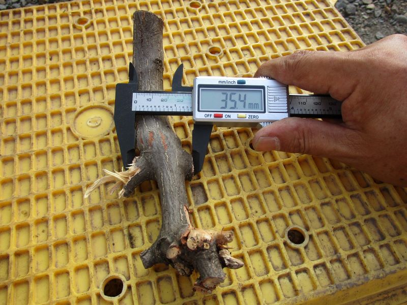 京セラ（旧リョービ）ガーデンシュレッダー GS-2010　投入可能な枝の大きさ説明写真　最大太さ35.4mm