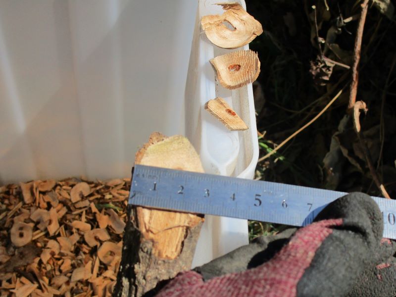 京セラ（旧リョービ）ガーデンシュレッダー GS-2010 ポテトチップス状にスライスされた 木の枝①