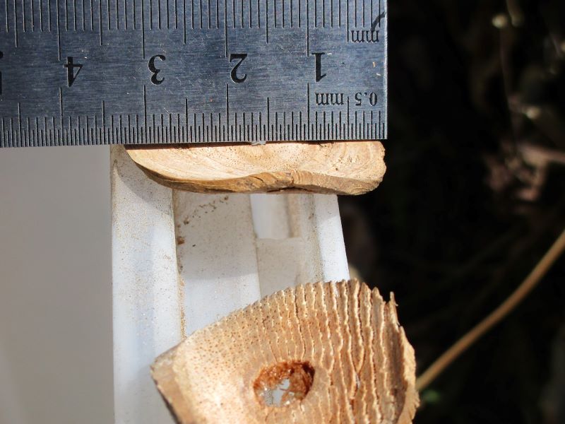 京セラ（旧リョービ）ガーデンシュレッダー GS-2010 ポテトチップス状にスライスされた 木の枝②