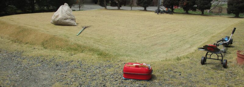 長く伸びてしまった芝を刈払い機(草刈り機)で一気に軸刈りして短く刈り込んげ刈芝を袋に入れた画像