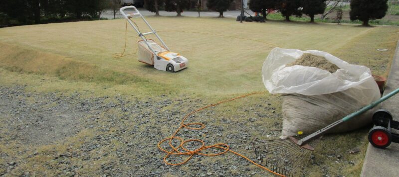 芝生の春の更新作業。
刈払い機(草刈り機)で短く刈り込んだ後芝刈り機で刈り芝の回収作業の画像