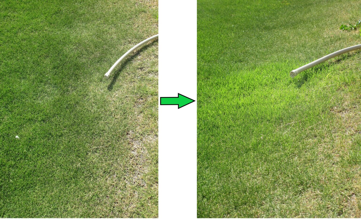 エアコンの排水利用で自動水やりできるか実験した結果の画像