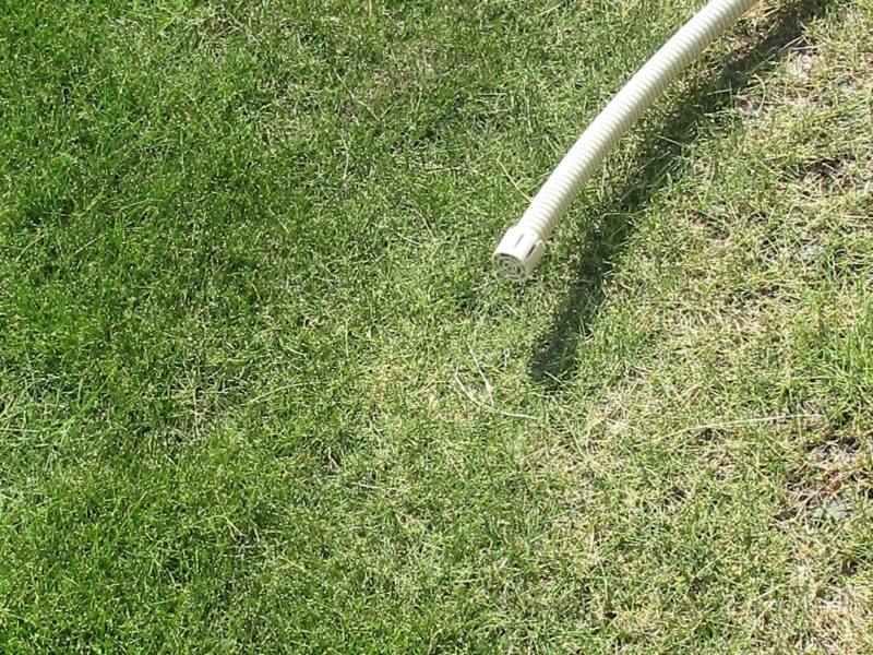 エアコンの室内機から排出される水を利用して芝生の水やり実験。開始時の拡大画像