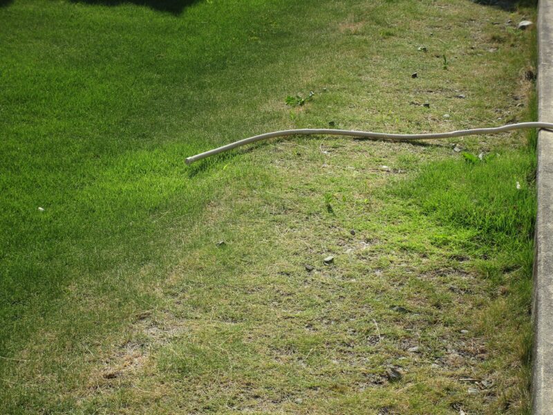 エアコンの室内機から排出される水を利用して芝生の水やり実験。24時間後の画像