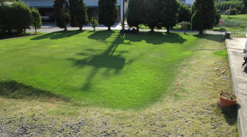 エアコンの室内機から排出される水を利用して芝生の水やり実験。芝生全体の画像