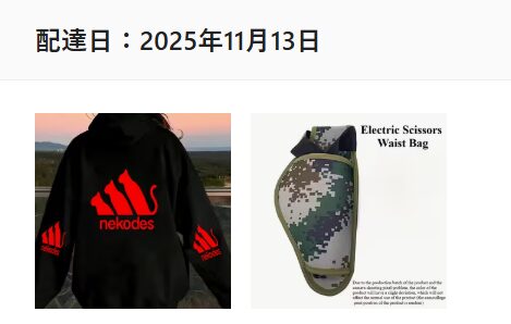 TEMUへ返金／返品　注文時の注文した画像